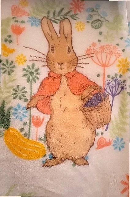 NWT Peter Rabbit Beatrix Potter Easter TWIN Blanket 60x90 Garden Floral Plush