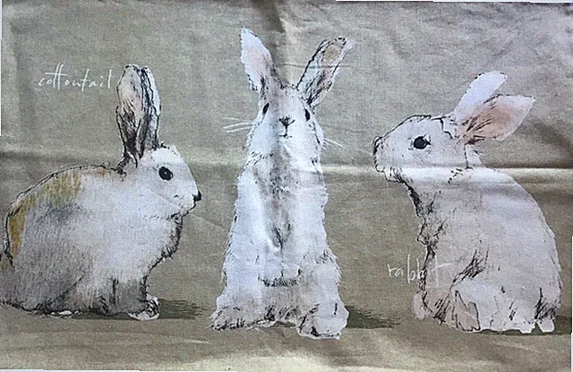 Pottery barn 16x26 Lumbar Pillow Sham 16”x 26” Cotton / Linen Cottontail